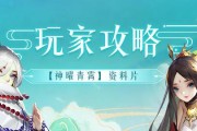 《以道友请留步，畅玩乱斗苍穹》（从入门到精通）