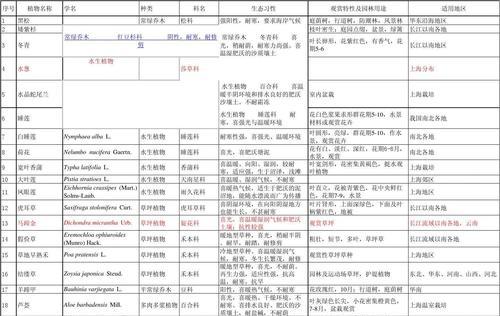 《泰拉瑞亚黄铜宽剑——属性解析及使用技巧》（泰拉瑞亚游戏中黄铜宽剑ID和属性全面解析）