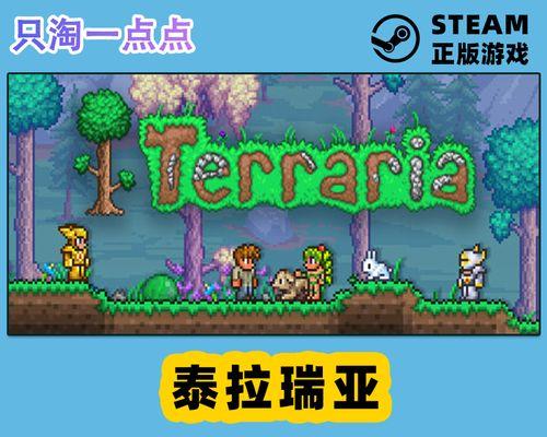 泰拉瑞亚13如何联机？最新steam直连教程是什么？